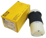 Hubbell HBL2321 Twist-Lock Plug 20A 250V 2P (Lot of 2)