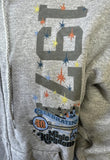 Hanes Men's Disney Magic Kingdom 1971 40 Years Gray Zip-Up Hoodie Size Large