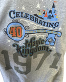 Hanes Men's Disney Magic Kingdom 1971 40 Years Gray Zip-Up Hoodie Size Large