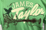 American Apparel Men's James Taylor Crow and Guitar Graphic Green Shirt Large