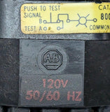 Allen-Bradley 800T-PT16 Push To Test Pilot Light White Series N 120 VAC 50/60 HZ