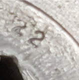 Hardinge 22 Round Collet 7/8"