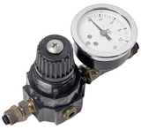 Watts Fluidair R384-01C Miniature Pressure Regulator 0/125 PSI 1/8" NPT w/Gauge