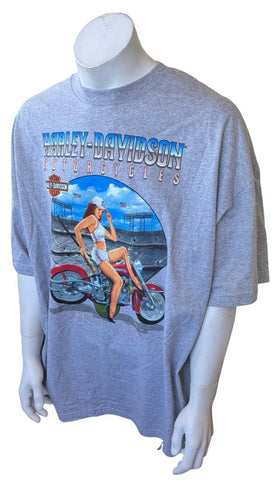Murina Men's Harley Davidson Motorcycle Baseball Graphic Gray Shirt Size 3XL