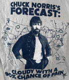 M&O Knits Men's Chuck Norris's Forecast Cloudy With A 90% Chance Of Pain Shirt M