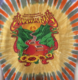 Anvil Men's Mountain Jam 2010 Graphic Tie Dye Short Sleeve Shirt Size Large