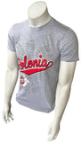 Gildan Men's Polonia Dyngus Day Graphic Gray Short Sleeve Shirt Size Small