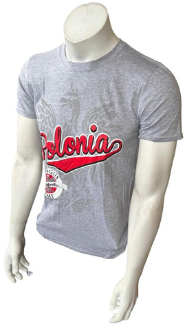 Gildan Men's Polonia Dyngus Day Graphic Gray Short Sleeve Shirt Size Small