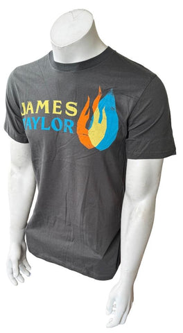 Tultex Men's James Taylor North American Tour 2012 Gray Shirt Size Small