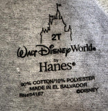 Disney Boys Disneyland Resort Mickey Mouse Est. 1955 Graphic Gray Shirt Size 2T