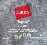 Hanes Men's Walt Disney World Goofy Thrill Seeker Graphic Gray Shirt Size Large
