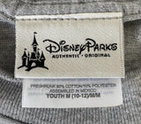 Disney Parks Boys Disneyland Resort Goofy Thrill Seeker Gray Shirt Size Medium