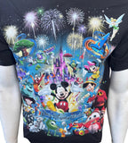 Hanes Men's Walt Disney World Graphic Black Short Sleeve Shirt Size Medium