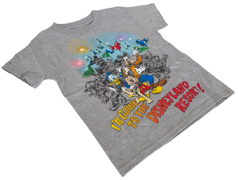 Disney Mickey & Friends I'm Going To The Disneyland Resort Gray Shirt Size XS