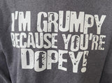 Walt Disney World Men's I'm Grumpy Because You're Dopey Gray Hoodie Size Medium