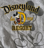Disney Boys Mickey Mouse Disneyland Resort Gray Pullover Sweatshirt Size XS