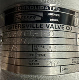 Dresser Consolidated 1905-00FC-1-CC-MS-31-RF-GS Relief Valve 30 PSI