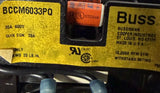 47699034