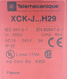 Telemecanique XCK-J5966B01H29 Safety Interlock Limit Switch AC15 240V 3A