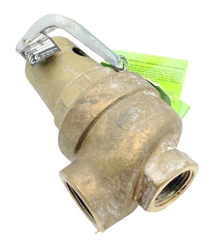 Apollo 1060520 RVW60 1" FNPT Bronze Hot Water Relief Valve 3500000 BTU/HR 100PSI