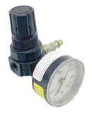Watts R384-02C Pneumatic Regulator 1/4" NPT 0-125PSI Range 300PSIG Max