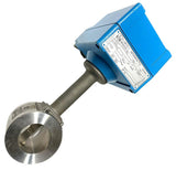 Endress + Hauser Flowtec DMV6331 Swingwirl II DN-NPS 2" TM-Range -60 to 750 °F