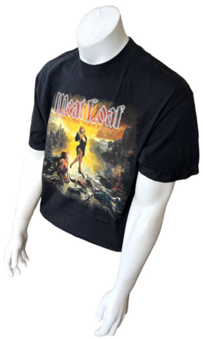 Alstyle Men's Meat Loaf Hang Cool Teddy Bear Tour 2010 Short Sleeve Shirt Size L