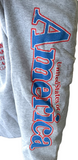 Hanes Epcot World Showcase USA Gray Hoodie Size Large