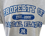Alstyle Men's Property Of Rascal Flatts Est. 2000 10 Year Anniv. Shirt Size L