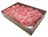 Brizzolari Premium 2-3/4" Pink Star Gift Bow 5/8" Ribbon 15 Loop 100 Count