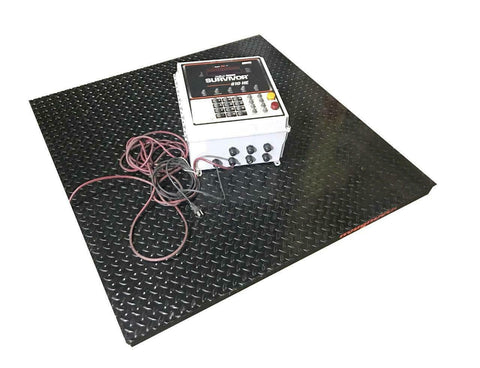 Rice Lake 4X4HP-5K 4' x 4' Floor Scale 5,000 LB  W/ Survivor 810-E Controller