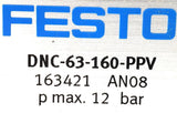 Festo DNC-63-160-PPV Pneumatic Cylinder 163421 AN08 p-Max 12bar