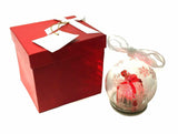 Kringle Express Illuminated Holiday Glass Present Ornament W/ Gift Box
