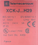 Telemecanique XCK-J5966B01H29 Safety Interlock Limit Switch AC15 240V 3A