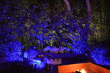 BlissLights Spright Motion Blue Indoor/Outdoor Laser Projector W/Remote