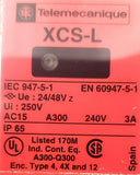 Telemecanique XCS-L565B2 Safety Interlock Limit Switch AC15 240V 3A XCS-L