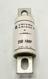 Bussmann XL70F250 Semi Conductor Fuse 250 A 700 V