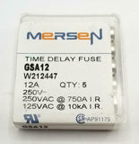 Mersen GSA12 Time Delay Fuse 12 A 250 V (Pack of 5)