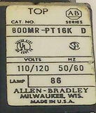 Allen Bradley  800M-PT16K  Blue Momentary Pushbutton NO CONTACT BLOCK