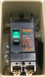 New Fuji Electric  EA52B  2-Pole Circuit Breaker 30 Amp 550 VAC