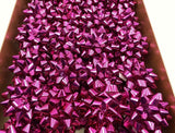 Brizzolari Premium 3-1/2" Purple Star Gift Bow 3/8" Ribbon 29 Loop 48 Count