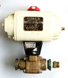 Worcester Controls Series 39 Model 15 Pneumatic Actuator 120 PSI