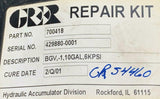 Greer 700418 Repair Kit BGV, -1, 10 Gal, 6 KPSI