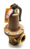 Watts 174A-SET30 Water Pressure Safety Relief Valve 1-1/4" (2 Available)