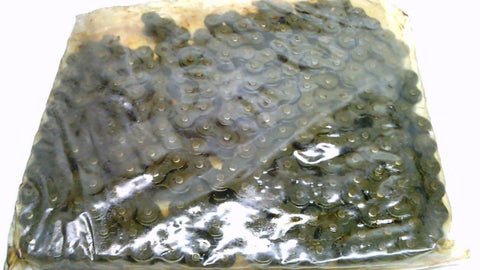 NEW PEER 192179017M ROLLER CHAIN 80R X 10 FT