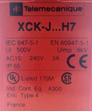 Telemecanique XCK-J5988B0H7 Safety Interlock Limit Switch AC15 240V 3A Type 4