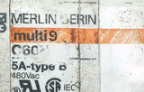 Merlin Gerin C60N5A-TypeB 2 Pole Circuit Breaker 5A 480VAC