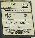 Allen Bradley  800M-PT16K  Green Momentary Pushbutton NO CONTACT BLOCK