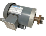 Marathon D393 Motor 1 HP 60 Hz 230/460V 50 Hz 3/4 HP 3 Phase 9VD56T34F5303JP