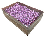 Brizzolari Premium 3-1/2" Purple Star Gift Bow 3/4" Ribbon 15 Loop 70 Count